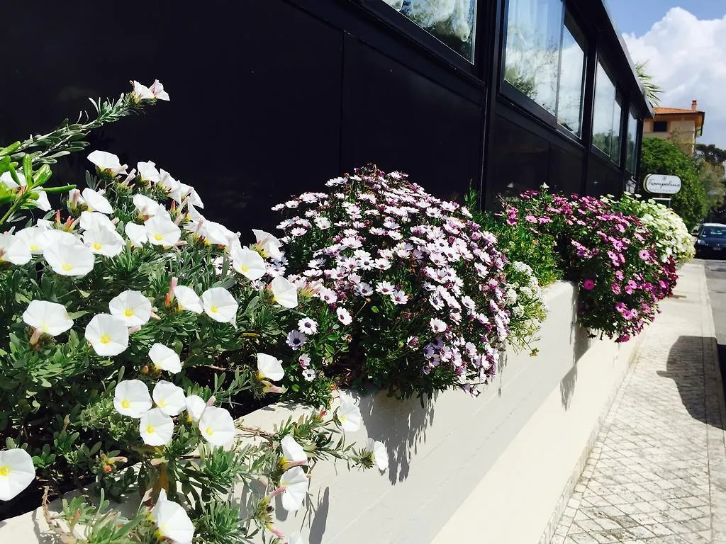 Savoy Hotel Marina di Pietrasanta 3*,